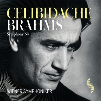 Wiener Symphoniker - Brahms: Symphony No. 1