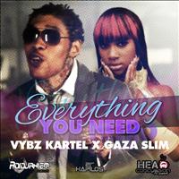 Vybz Kartel, Gaza Slim - Everything You Need - Single