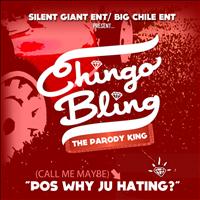 Chingo Bling - Call Me Maybe (Pos Why Ju Hating)