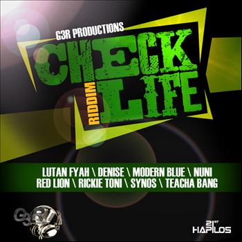 Various Artists - Check Life Riddim