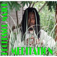 Professor Major - Meditation