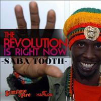 Saba Tooth - The Revolution Is Right Now!