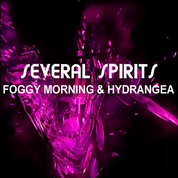 Several Spirits - Foggy Morning and Hydrangea