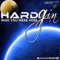 Hard Gin - Wish You Were Here