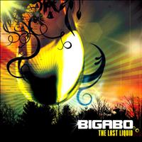 Bigabo - The last liquid