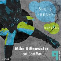 Mike Gillenwater - She's Freaky Remixes