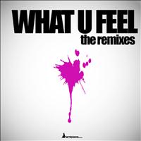 Matt Rock - What U Feel - the Remixes