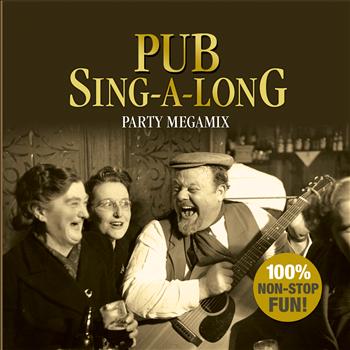 The Sign Posters - Pub Singalong Party Megamix