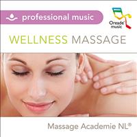 Various Artists - Wellness Massage