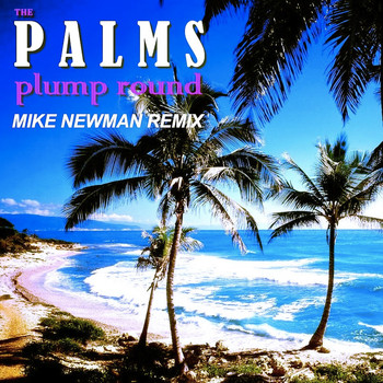 The Palms - Plump Round (Mike Newman Remix)