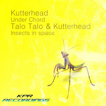Kutterhead - Insects In Space