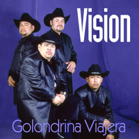 Vision - Golondrina Viajera
