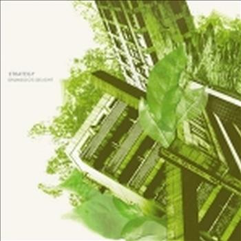 Strategy - Drumsolo's Delight