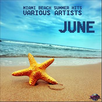 Various Artists - Miami Beach Summer Hit June