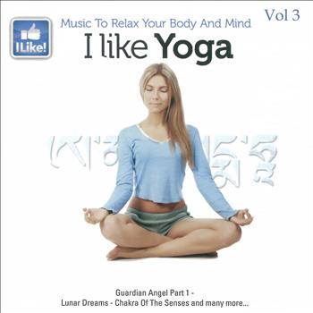 Various Artists - I Like Yoga, Vol. 3