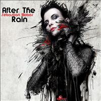Sebastian Illobos - After the Rain