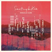 Something For Kate - Miracle Cure