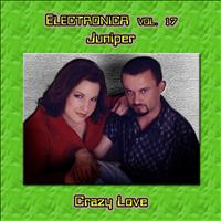 Juniper - Electronica Vol. 17: Juniper - Crazy Love