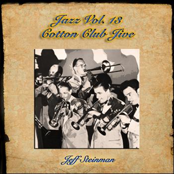 Jeff Steinman - Jazz Vol. 13: Wild Boogie Woogie