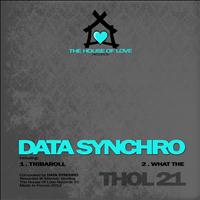 Data Synchro - What The