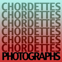The Chordettes - Photographs