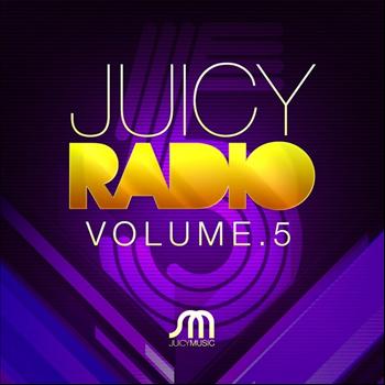 Various Artists - Juicy Radio Volume 5