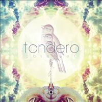 Tondero - Observer