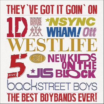 Various Artists - They've Got It Going On...The Best Boybands Ever!