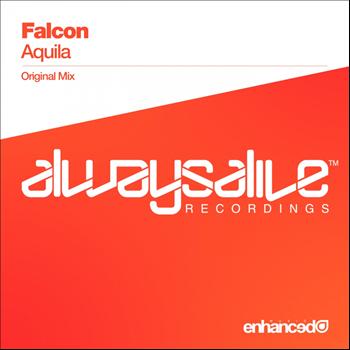 Falcon - Aquila