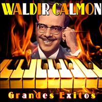 Waldir Calmon - Grandes Exitos