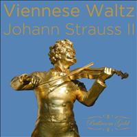 Nuremberg Symphony Orchestra - Viennese Waltz of Johann Strauss II