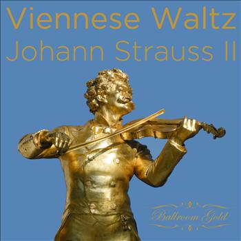 Nuremberg Symphony Orchestra - Viennese Waltz of Johann Strauss II