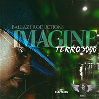 Terro 3000 - Imagine - Single