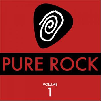 Various Artists - Pure Rock, Vol. 1