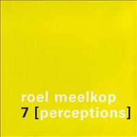 Roel Meelkop - [7] Perceptions