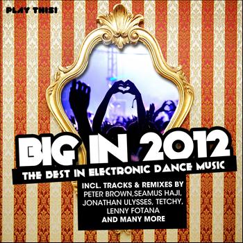 Various Artists - Big in 2012 (The Best in Electronic Dance Music)