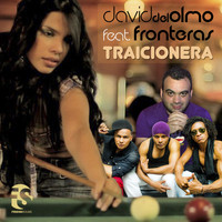 David Del Olmo feat. Fronteras - Traicionera (Radio Edit)