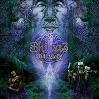 Shiva3 - Full Story