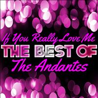 The Andantes - If You Really Love Me - The Best of the Andantes