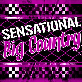 Big Country - Sensational Big Country (Live)