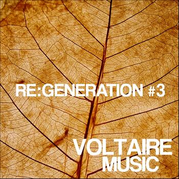 Various Artists - Voltaire Music Pres. Re:generation, Vol. 3