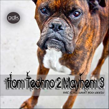 Various Artists - From Techno 2 Mayhem 3 (This is all what you need! [Explicit])