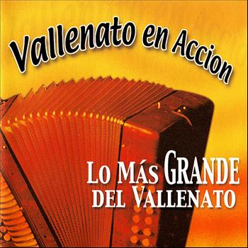 Various Artists - Vallenato en Accion: Lo Más Grande del Vallenato