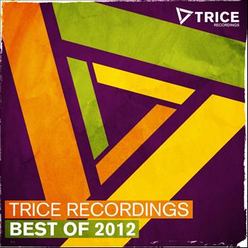 Various Artists - Trice Recordings - Best Of 2012