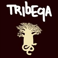 Tribeqa - Rose (Greem & Atom Remix)