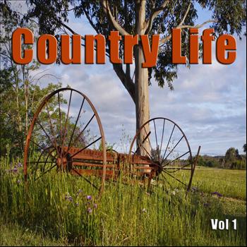 Various Artists - Country Life Vol 1