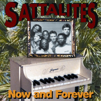 Sattalites / - Now And Forever