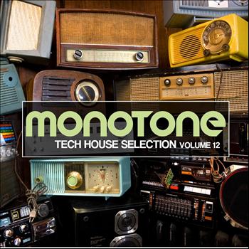 Various Artists - Monotone, Vol. 12 (Tech House Selection)