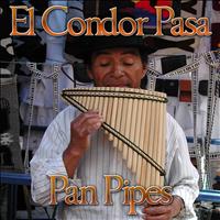 Latin Band - El Condor Pasa (Pan Pipes)
