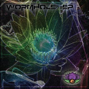 Wormhole - Earths Elements